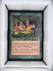 Wild Dogs front