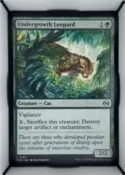 Undergrowth Leopard front