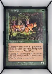 Wild Dogs front