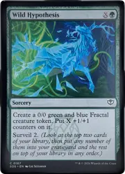 Wild Hypothesis front