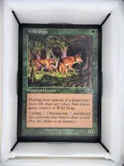 Wild Dogs front