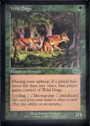 Wild Dogs front