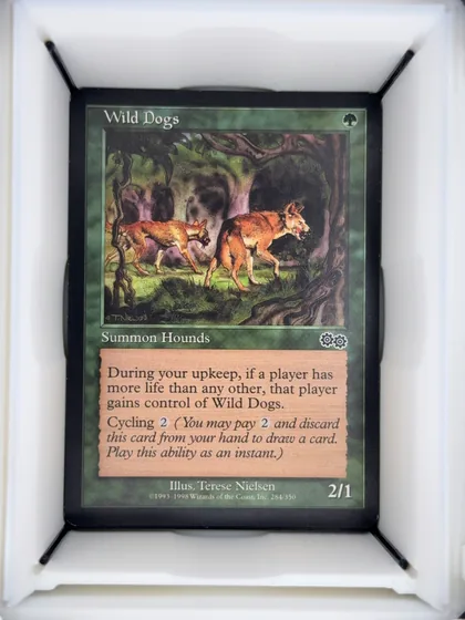 Wild Dogs front
