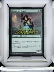 Lifespring Druid front