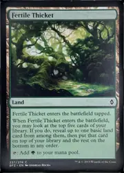 Fertile Thicket front