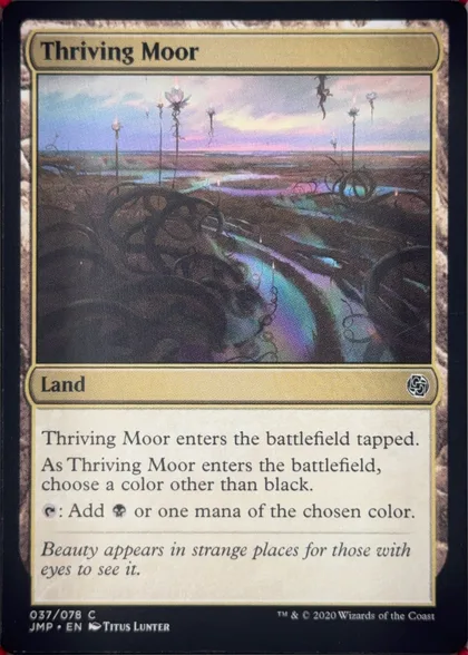 Thriving Moor front