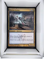 Mortus Strider front