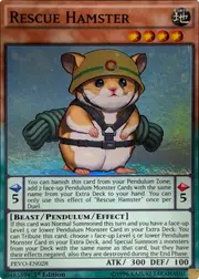 Rescue Hamster front