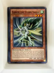 Garum the Storm Vassal front