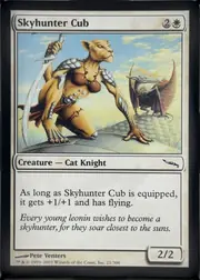 Skyhunter Cub front