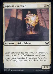 Ageless Guardian front