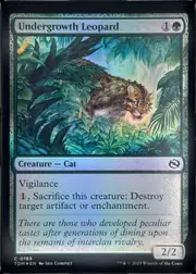 Undergrowth Leopard front