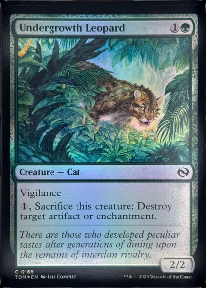 front of card