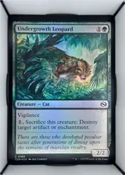 Undergrowth Leopard front