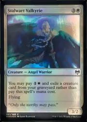 Stalwart Valkyrie front