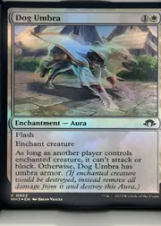 Dog Umbra front