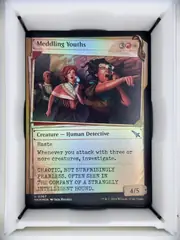Meddling Youths front