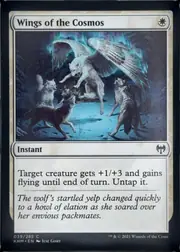 Wings of the Cosmos front