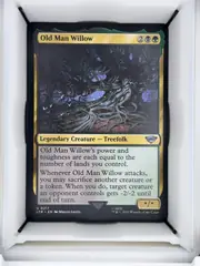 Old Man Willow front