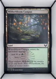 Witherbloom Campus front