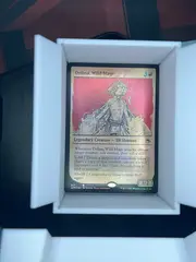 Delina, Wild Mage front