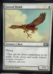 Suntail Hawk front