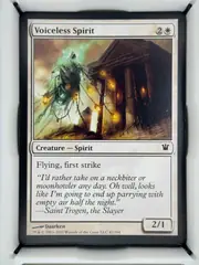 Voiceless Spirit front