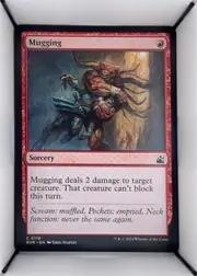 Mugging front