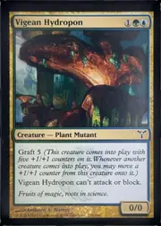 Vigean Hydropon front