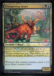 Trumpeting Gnarr front