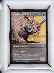 Trumpeting Gnarr front