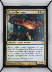 Vigean Hydropon front