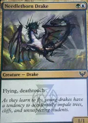 Needlethorn Drake front