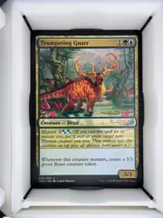 Trumpeting Gnarr front