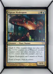 Vigean Hydropon front
