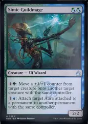 Simic Guildmage front