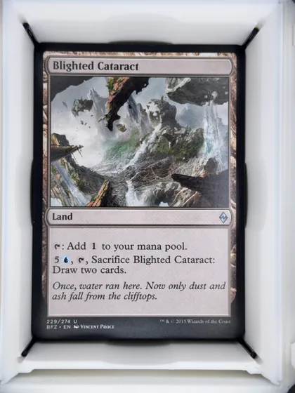 Blighted Cataract front