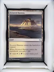 Scoured Barrens front