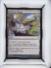 Blighted Steppe front