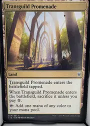 Transguild Promenade front