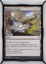 Blighted Steppe front