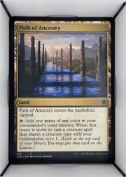 Path of Ancestry front