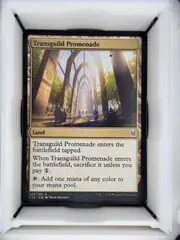 Transguild Promenade front