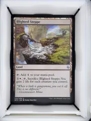 Blighted Steppe front