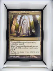 Transguild Promenade front
