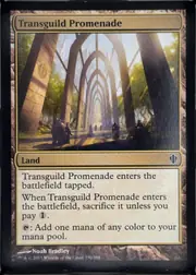Transguild Promenade front
