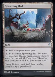 Spawning Bed front