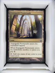 Transguild Promenade front