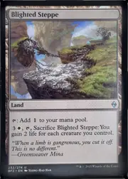 Blighted Steppe front