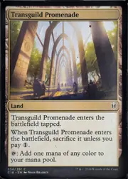 Transguild Promenade front